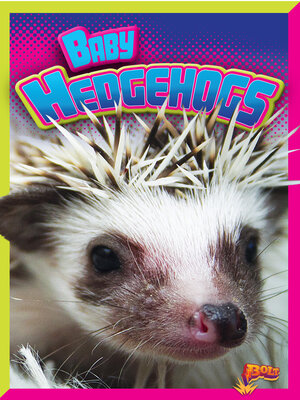 cover image of Baby Hedgehogs